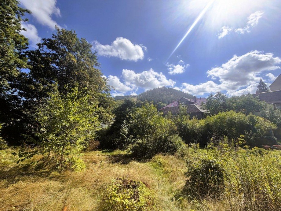 Sonniger Gartenblick Einfamilienhaus Ilmenau