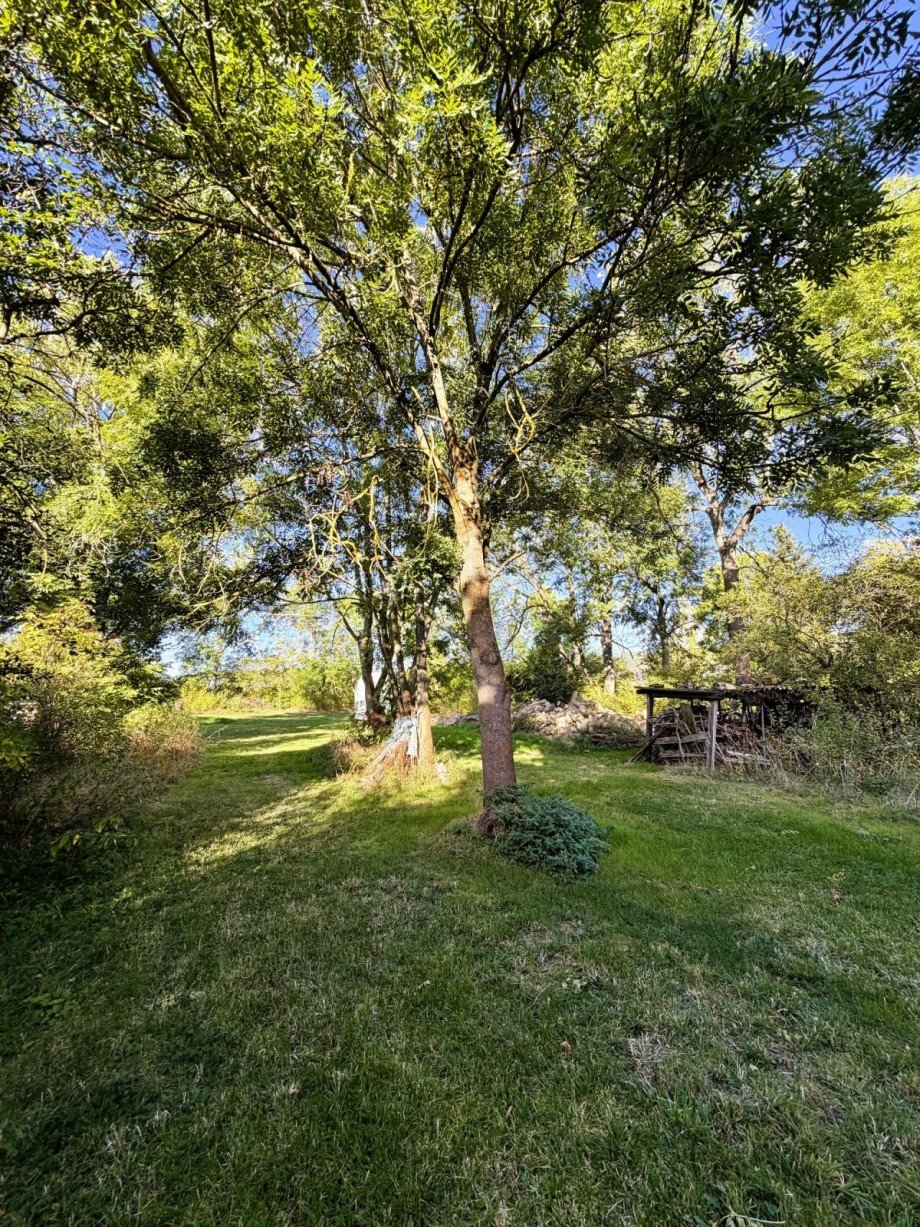 Gr�ner Gartenweg Gemischt-Grundst�ck Stadtilm