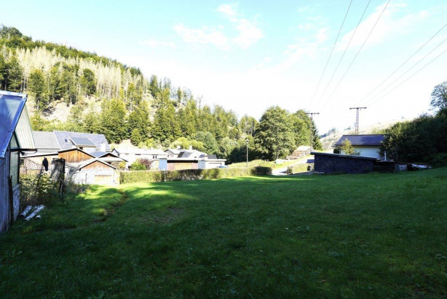 Dorfansicht mit Wiese Reihenendhaus Goldisthal