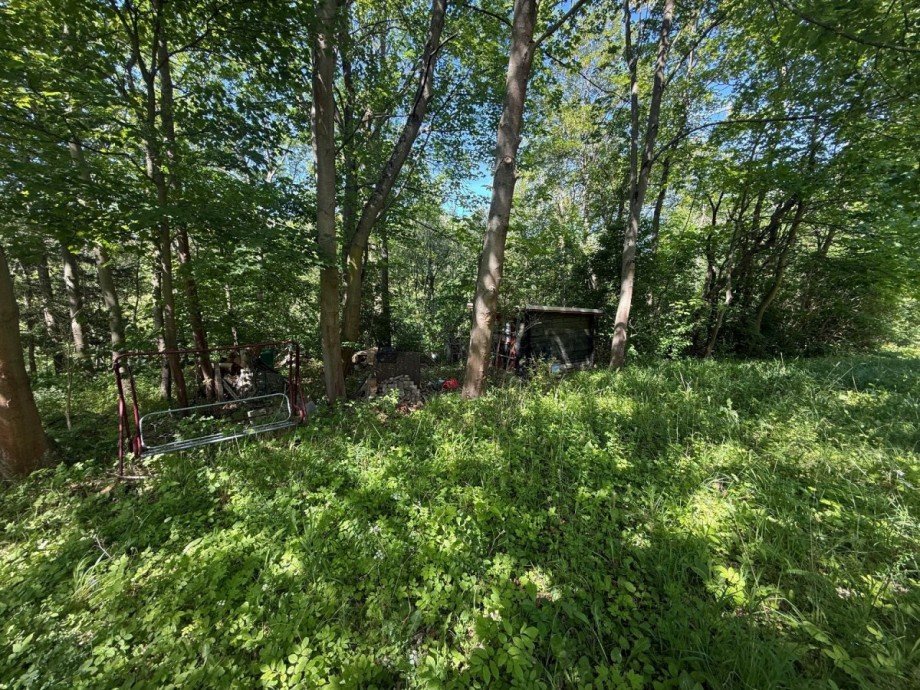 Waldlichtung mit Schuppen Bungalow Plaue
