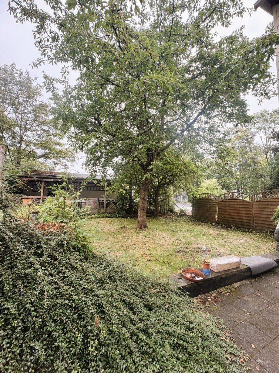 Garten mit gro�em Baum Mehrfamilienhaus Ilmenau