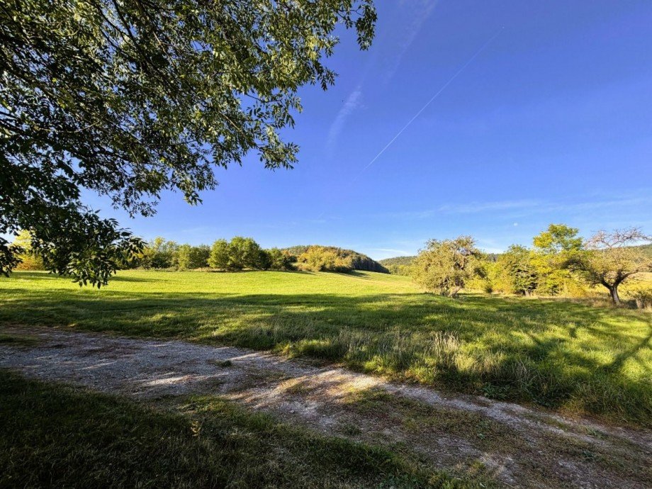 Gr�ne Landschaft im Sommer Gemischt-Grundst�ck Stadtilm