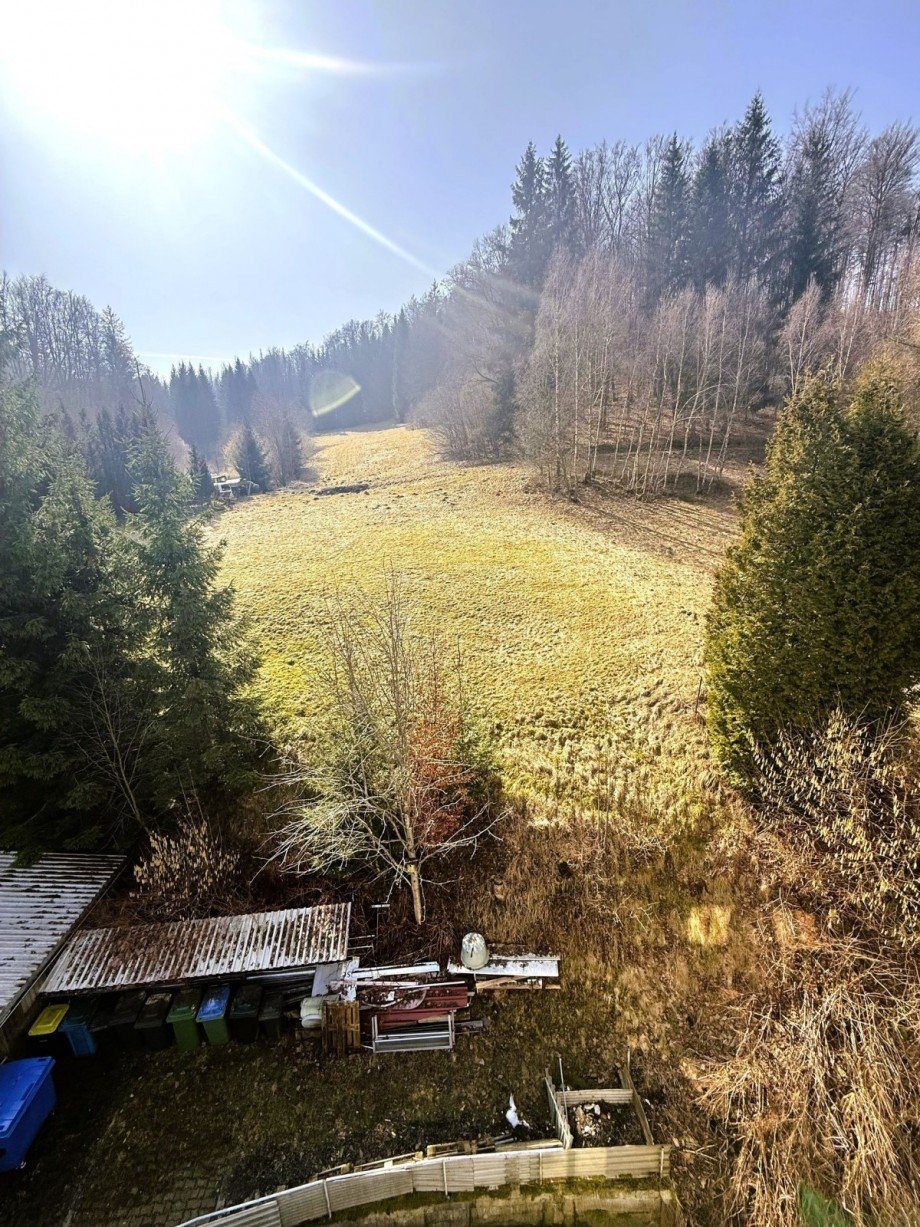 Ausblick Freizeitimmobilie Masserberg