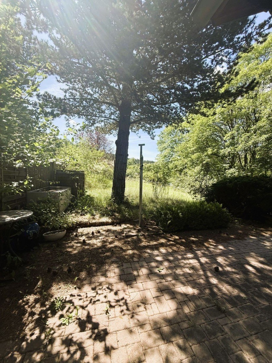 Garten mit Pflasterweg Bungalow Plaue