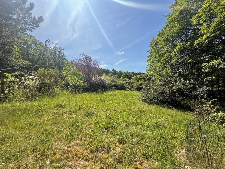 Sonnige Waldlichtung Bungalow Plaue
