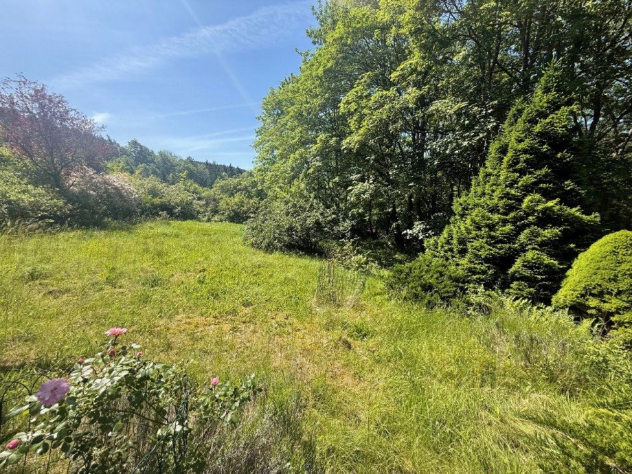 Gr�ne Wiese mit B�umen Bungalow Plaue