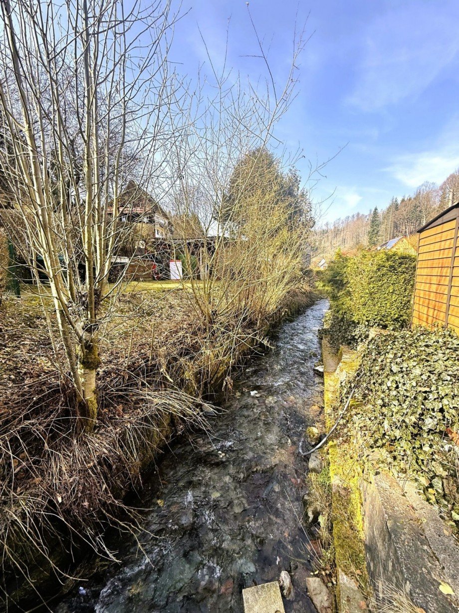 Bachlauf im Dorf Freizeitimmobilie Masserberg