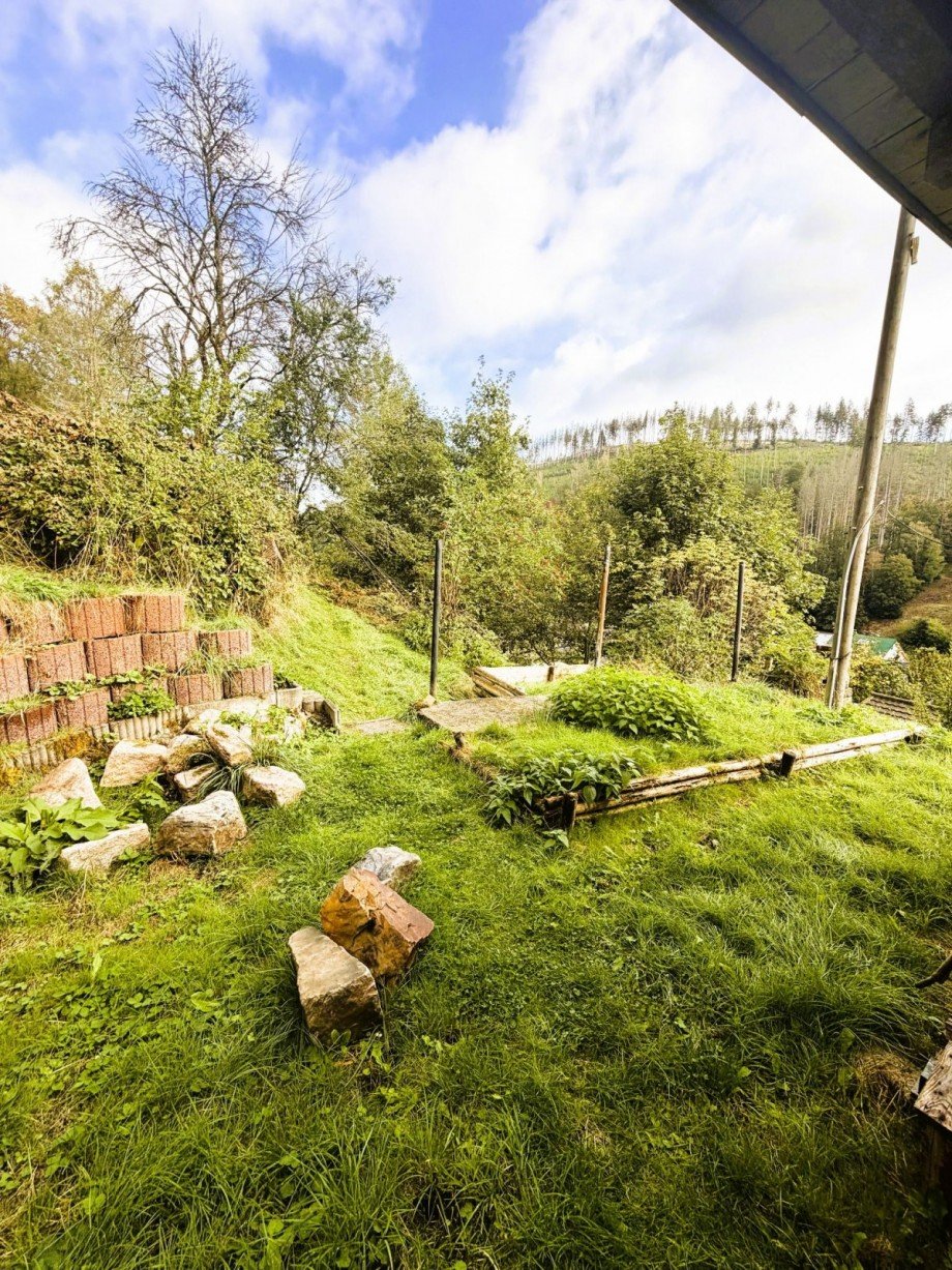 Gr�ner Gartenblick Mehrfamilienhaus Katzh�tte