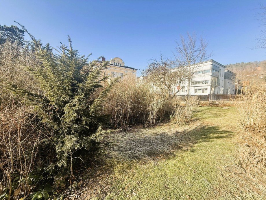 Garten mit Geb�uden im Hintergrund Mehrfamilienhaus Rudolstadt