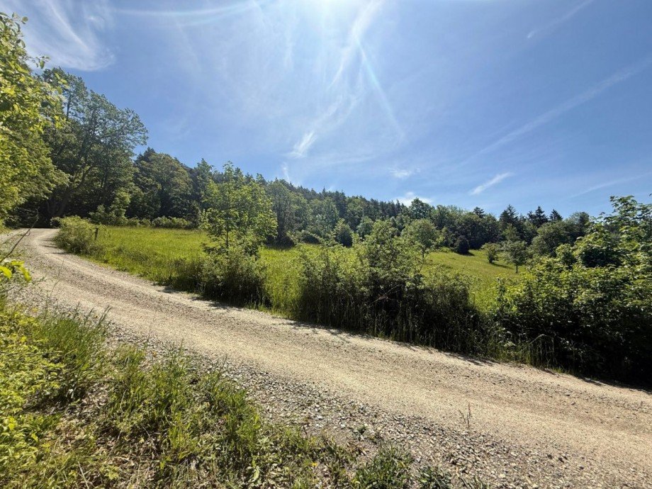 Waldweg bei Sonnenschein Bungalow Plaue