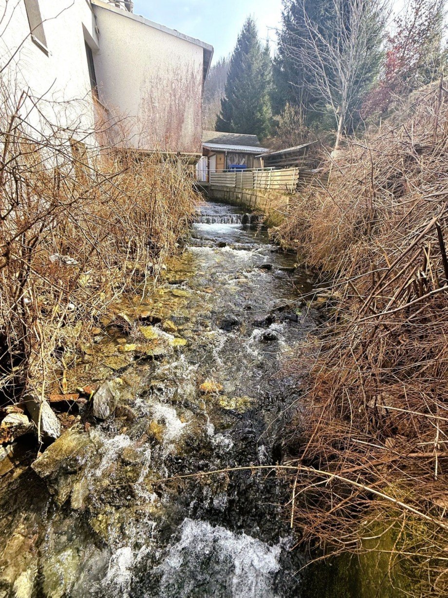 Bachlauf hinter Geb�ude Freizeitimmobilie Masserberg